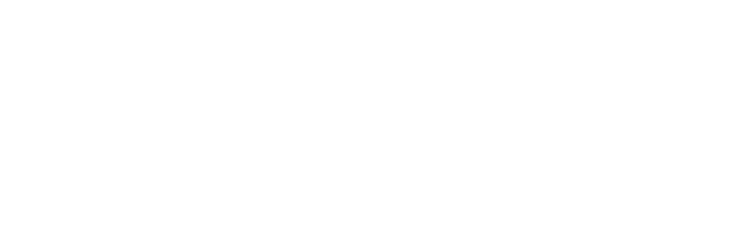 SABZ  SWIMWEAR PERU